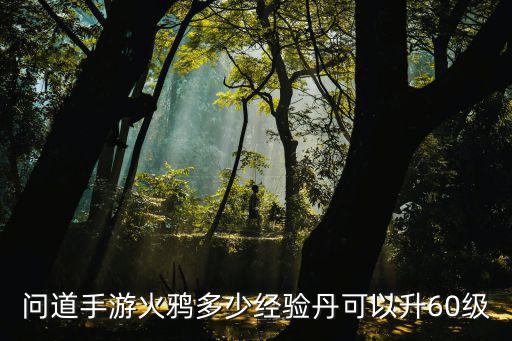 问道手游火鸦多少经验丹可以升60级
