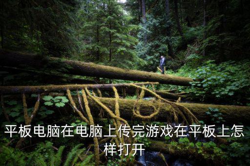 手游在pc平板上怎么找，android平板电脑游戏下载后在哪找不到