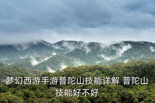 问道手游普陀山技能怎么用，梦幻西游手游普陀山技能详解 普陀山技能好不好