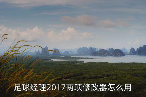 足球经理2017两项修改器怎么用