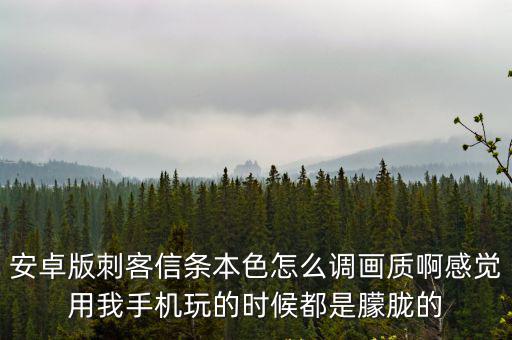 安卓版刺客信条本色怎么调画质啊感觉用我手机玩的时候都是朦胧的