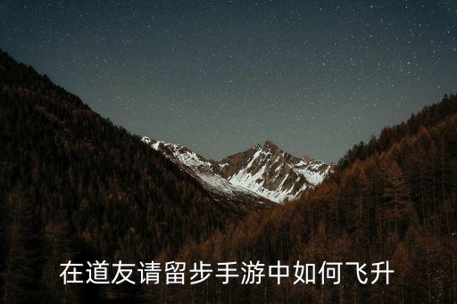 在道友请留步手游中如何飞升