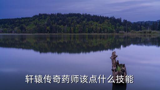 轩辕传奇药师该点什么技能
