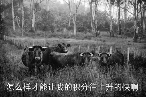 怎么样才能让我的积分往上升的快啊