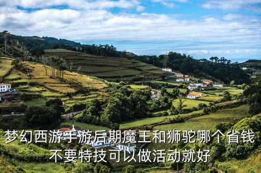 梦幻西游手游后期魔王和狮驼哪个省钱不要特技可以做活动就好