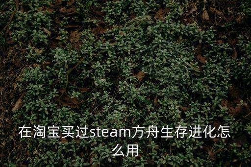 在淘宝买过steam方舟生存进化怎么用