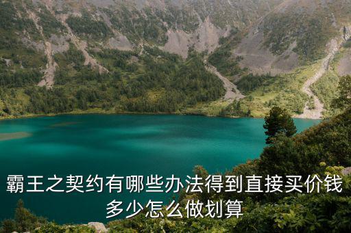 霸王之契约有哪些办法得到直接买价钱多少怎么做划算