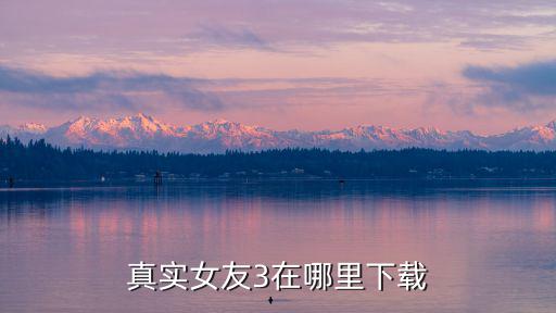 真实女友3在哪里下载