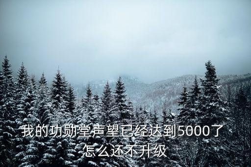 我的功勋堂声望已经达到5000了 怎么还不升级