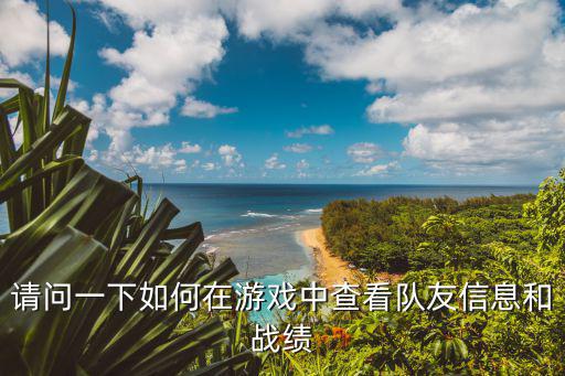 请问一下如何在游戏中查看队友信息和战绩