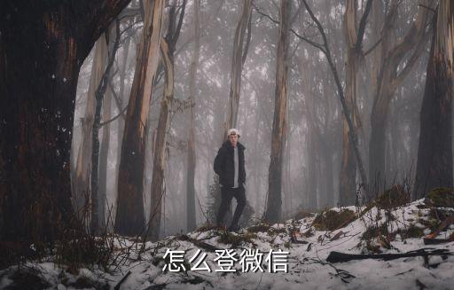 庆余年手游怎么微信登录，手机游戏怎样从QQ登陆转为微信登陆