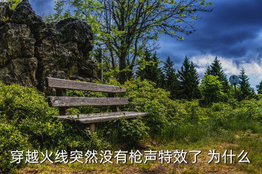 穿越火线突然没有枪声特效了 为什么
