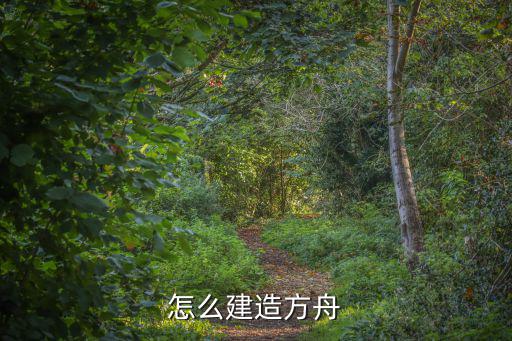 怎么建房子方舟手游世界，怎么建造方舟