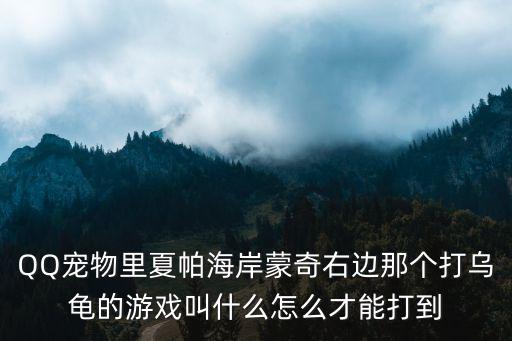 QQ宠物里夏帕海岸蒙奇右边那个打乌龟的游戏叫什么怎么才能打到
