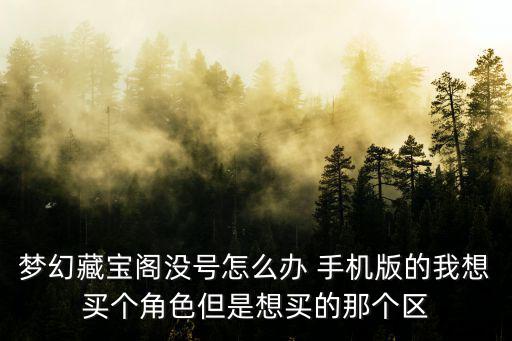 梦幻藏宝阁没号怎么办 手机版的我想买个角色但是想买的那个区