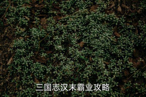 三国志汉末霸业攻略