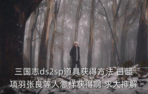 三国志手游收割机怎么获得，光荣三国志游戏