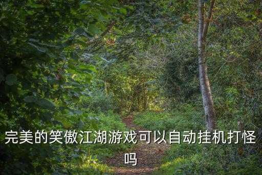 完美的笑傲江湖游戏可以自动挂机打怪吗