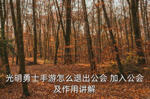 光明勇士手游怎么退出公会 加入公会及作用讲解