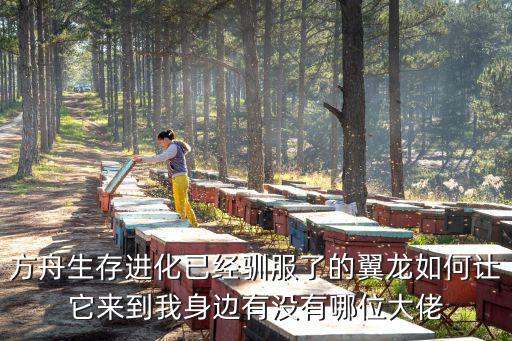 方舟生存进化已经驯服了的翼龙如何让它来到我身边有没有哪位大佬