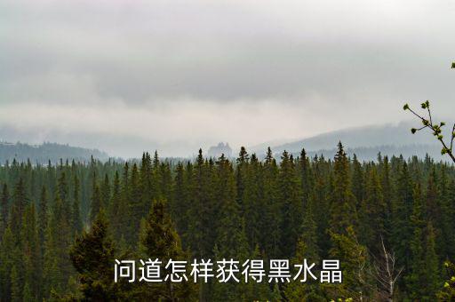 问道怎样获得黑水晶