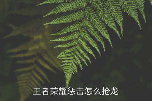王者荣耀惩击怎么抢龙