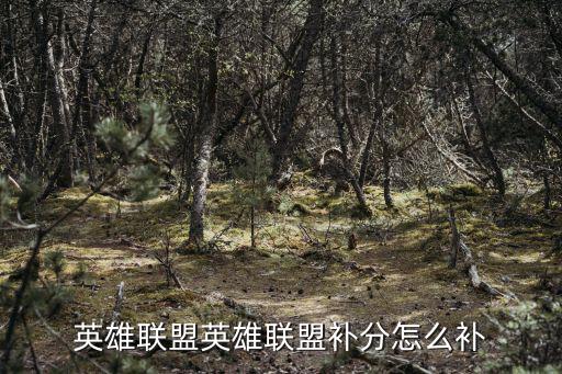 英雄联盟英雄联盟补分怎么补
