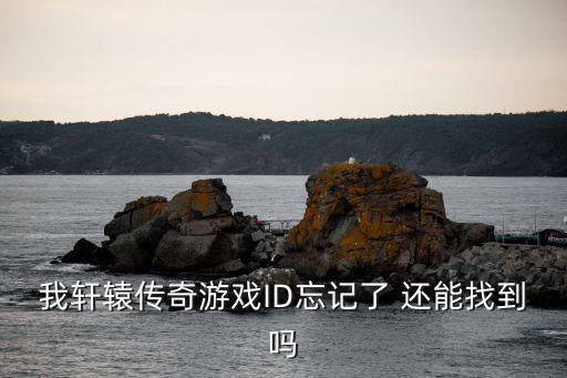 我轩辕传奇游戏ID忘记了 还能找到吗