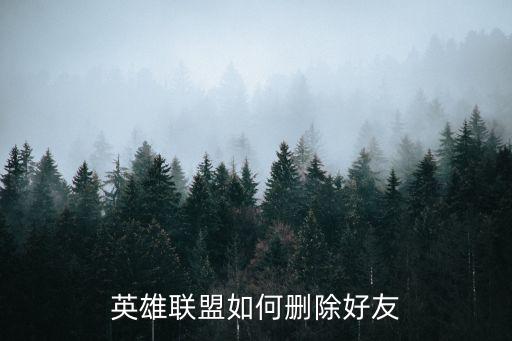 英雄联盟手游怎么删除好友聊天，怎样删除好友聊天信息