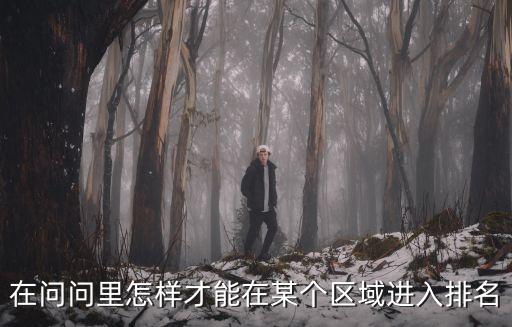 在问问里怎样才能在某个区域进入排名