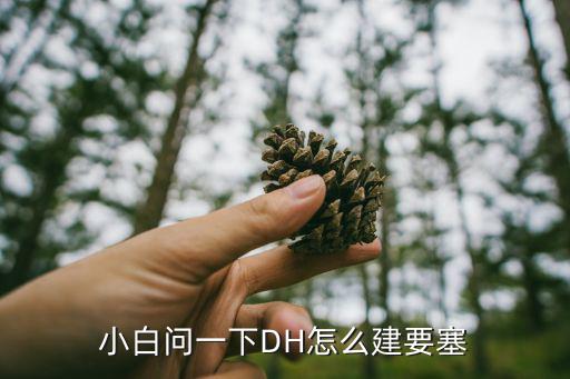 小白问一下DH怎么建要塞