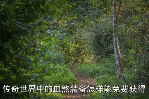 传奇世界中的血煞装备怎样能免费获得
