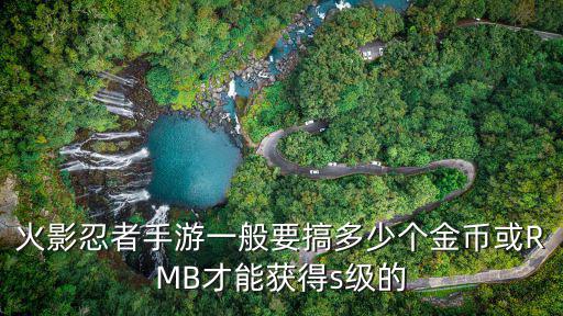 火影忍者手游一般要搞多少个金币或RMB才能获得s级的