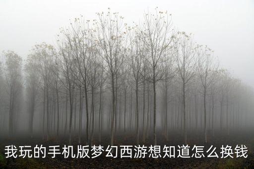 我玩的手机版梦幻西游想知道怎么换钱