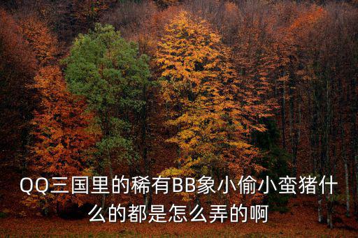 QQ三国里的稀有BB象小偷小蛮猪什么的都是怎么弄的啊