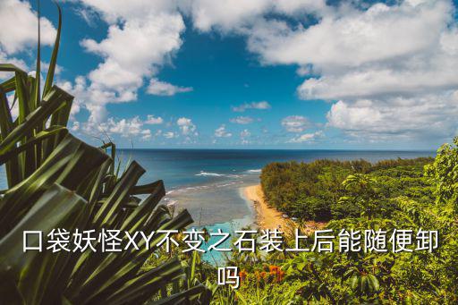 口袋妖怪XY不变之石装上后能随便卸吗