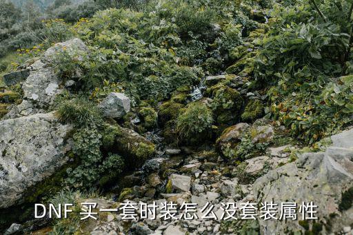 dnf手游买的时装怎么没有属性，DNF 买一套时装怎么没套装属性