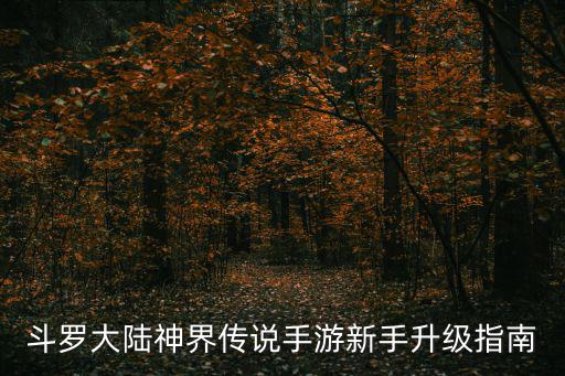 神界传说手游怎么升级，玩游戏怎么升级啊