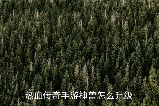 热血传奇手游神兽怎么升级