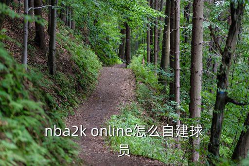 nba 2k手游怎么自创球员，nba2k online怎么自建球员