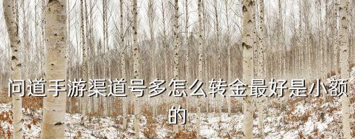 问道手游力金怎么转移，问道手游渠道号多怎么转金最好是小额的