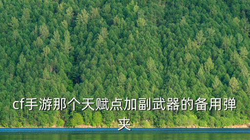 cf手游那个天赋点加副武器的备用弹夹