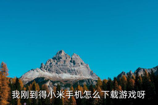 我刚到得小米手机怎么下载游戏呀