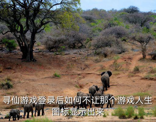 寻仙游戏登录后如何不让那个游戏人生图标显示出来