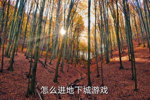 怎么进地下城游戏
