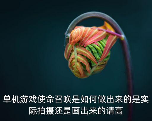 单机游戏使命召唤是如何做出来的是实际拍摄还是画出来的请高