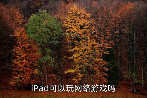 iPad可以玩网络游戏吗