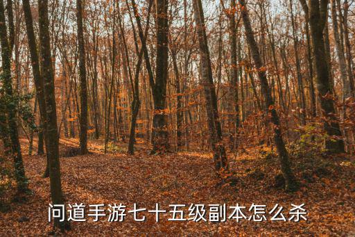 问道手游七十五级副本怎么杀