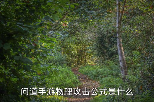 问道手游物理攻击公式是什么