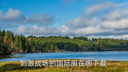 国际服手游怎么下载正版，刺激战场的国际服在哪下载